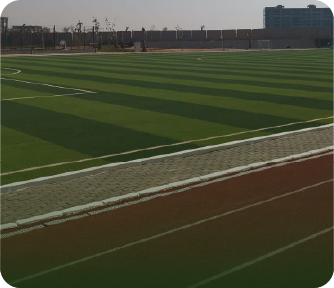 Running Tracks The Knowledge Hub Universities