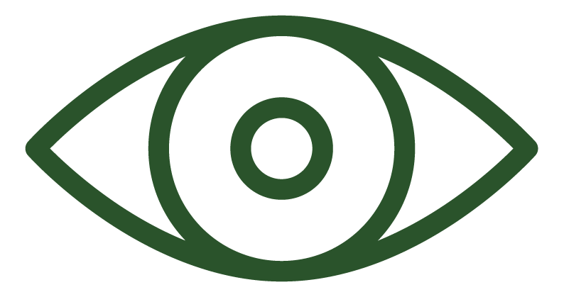 VISION