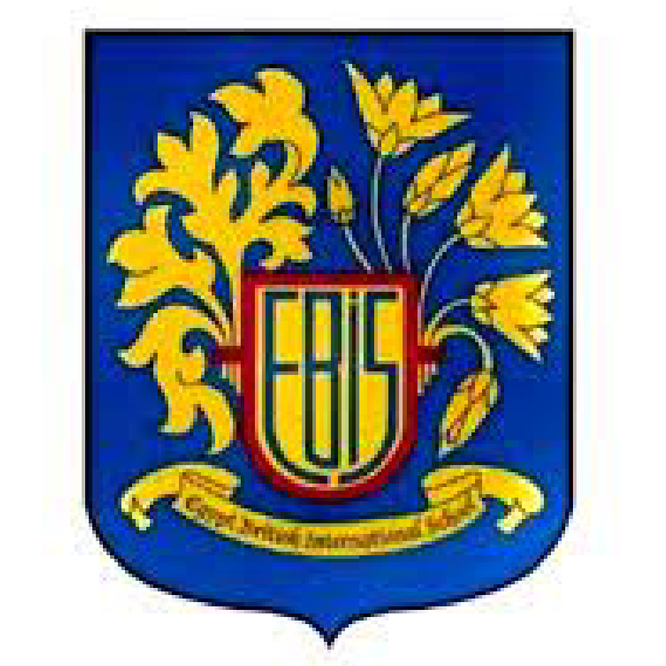 Egypt British International School